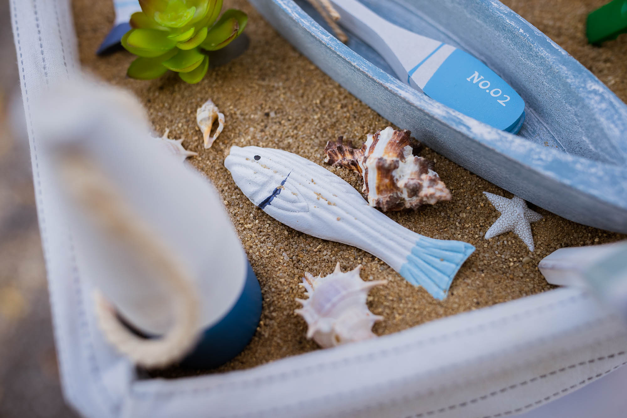 Export x3 1DX23480 Hochzeit 2020 Muriel & Trevor